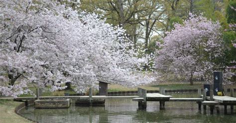 Memphis Botanic Garden, Memphis | Roadtrippers