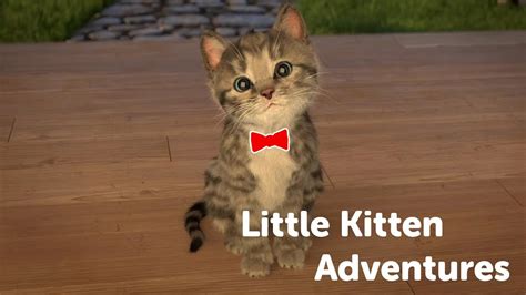 Fun Pet Care Games - Little Kitten Adventures (New Updates) - Play Costume Dress-Up Party ...