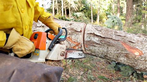 This Technique Could Save Your Chainsaw - YouTube