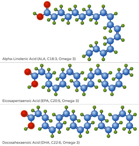 What Are Omega 3 Fatty Acids? - Ruled Me