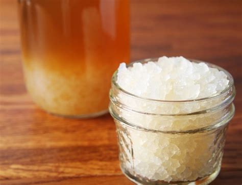 Water Kefir Health Benefits Weight Loss | Blog Dandk