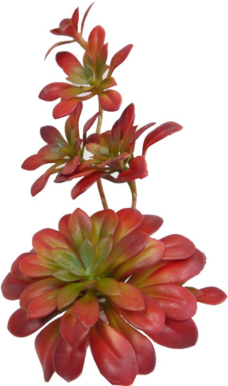 Download Sun Kissed Succulent Pick - Artificial Flower - Full Size PNG ...