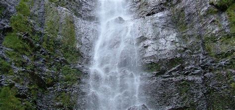 Waimoku Falls | Maui Hawaii