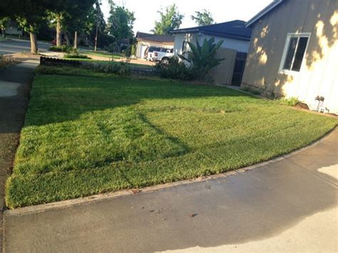 Newly Planted SOD watering Schedule in California