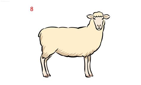 Sheep Drawing How to draw a Sheep