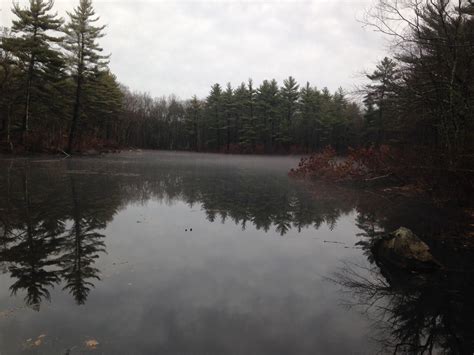 Oh To Be Hiking!: Rocky Woods (Massachusetts)