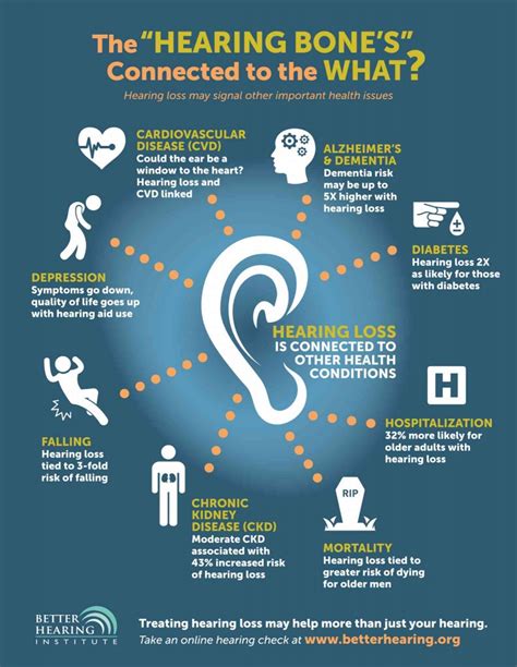 Hearing Loss Causes, Types and Diagnostic Testing in Ellicott City