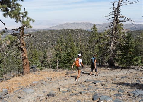 San Bernardino National Forest - Hiking:Day Hiking