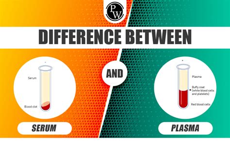 Difference Between Serum And Plasma, Definition And Functions