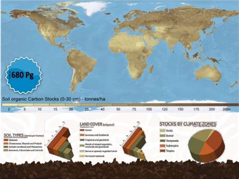 The Global Soil Organic Carbon map V1.0