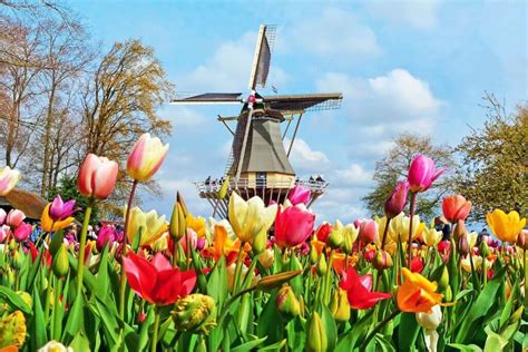 6 Unique Facts About Windmills In The Netherlands