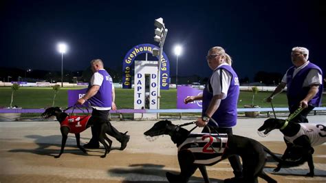 Dapto Dogs fight: Showground owners offer new lease to Greyhound Racing NSW | Illawarra Mercury ...