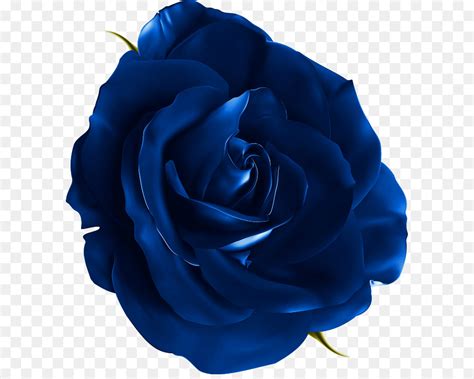 navy blue rose clipart 10 free Cliparts | Download images on Clipground 2024