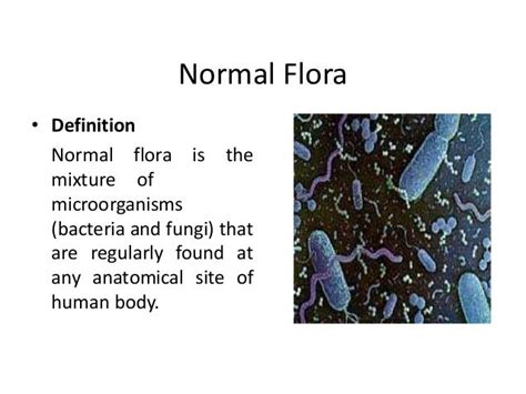 Cell structure of bacteria and normal flora