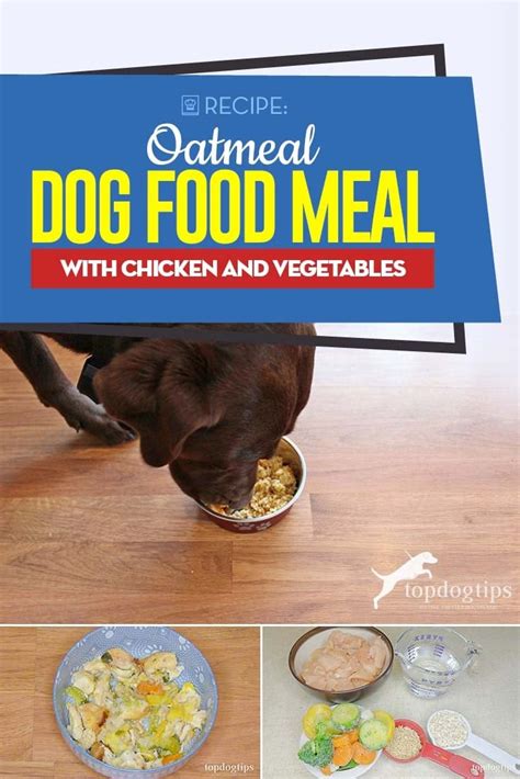 Homemade Oatmeal Dog Food Recipe with Chicken and Vegetables