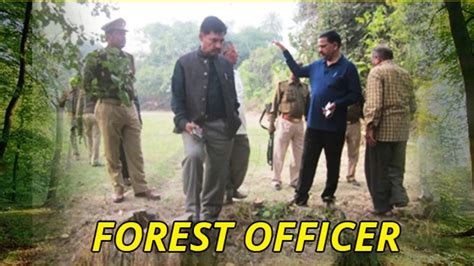 How to Become a Forest Officer? Know About the Selection Process ...