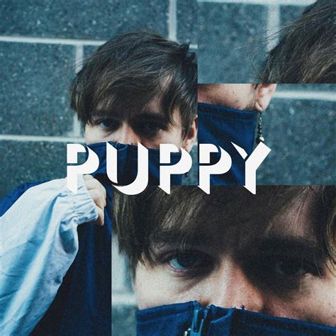 Alternative PUPPY cover (bearface) : r/brockhampton