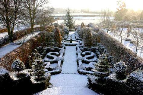 17 Best images about Winter garden on Pinterest | Trees and shrubs, English and Walking sticks