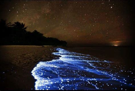 Strange Phenomena Around The World That You Have To See To Believe ...