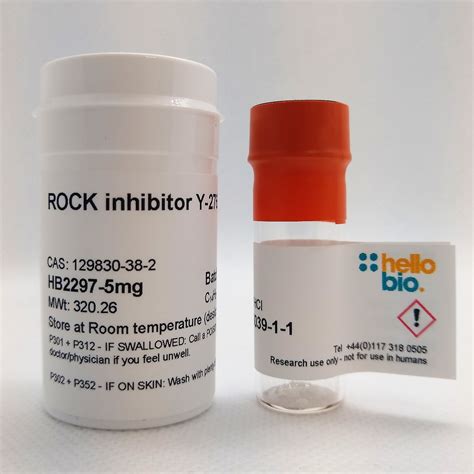 ROCK inhibitor Y-27632 | Hello Bio