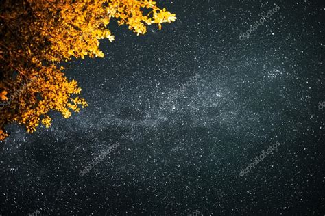 Starry sky with Milky Way — Stock Photo © mihtiander #125578114