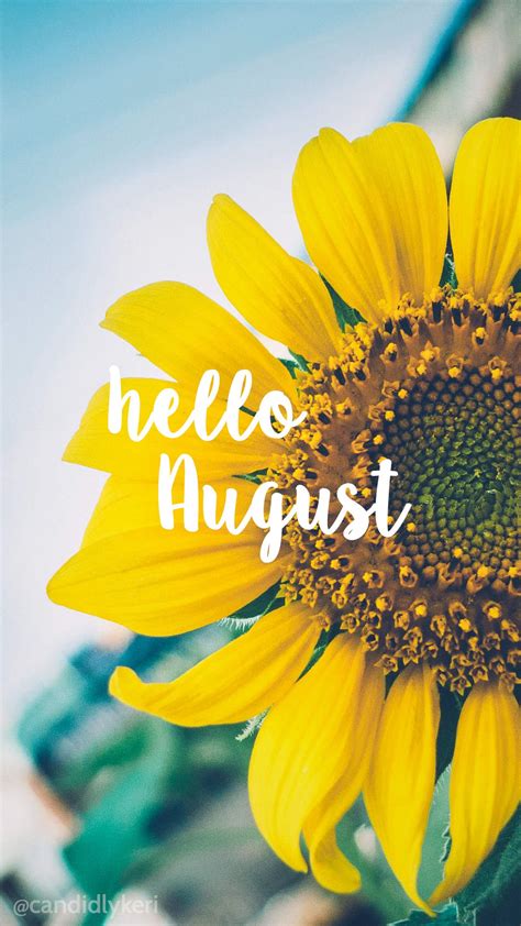 Hello August Sunflower bright happy background August 2016 wallpaper you can download for free ...