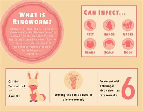 Stages Of Ringworm