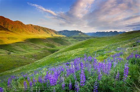 Oregon Northern California Spring landscape photography