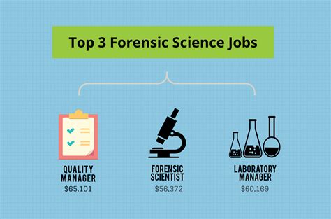 top3-forensic Science Jobs - Bachelors Degree Center