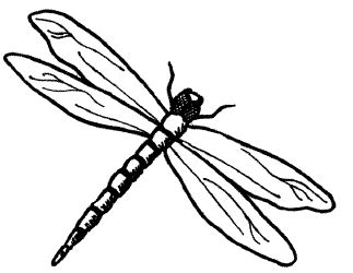 Free Dragonfly Outline Cliparts, Download Free Dragonfly Outline ...