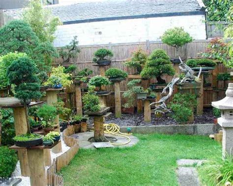 Inspiration for Backyard Bonsai Displays – #15 | Bonsai Bark