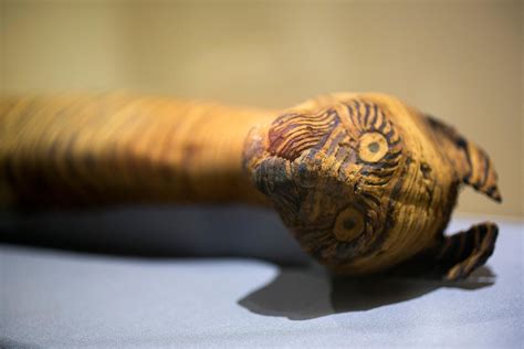 California Exhibition Reveals Ancient Mummified Pets - NBC News