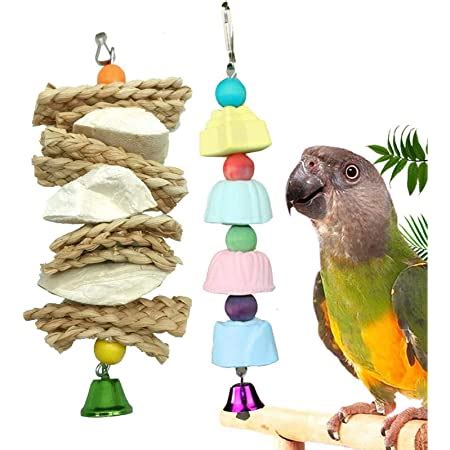 Amazon.com : kathson Bird Cuttlebone, Parakeet Beak Stone Mineral Lava ...