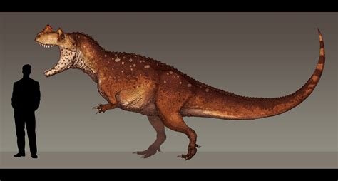 Ceratosaurus dentisulcatus by Paleocolour on DeviantArt