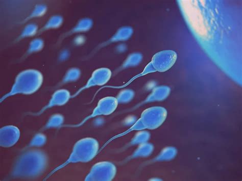 Sperm and Egg — Stock Photo © twindesigner #60006515