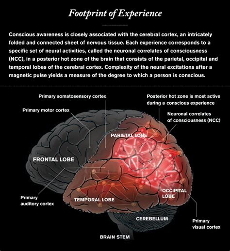 What Is Consciousness?