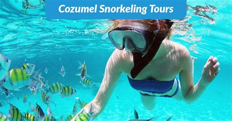 Discover where the Best Snorkeling Spots in Cozumel are located in a Map TODAY. | Cozumel ...