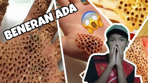 BENERAN ADA PENYAKIT BOLONG BOLONG?trypophobia Challenge!! - YouTube