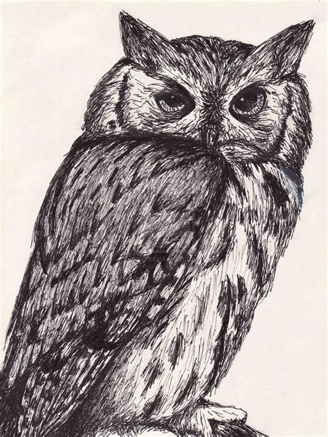 Pen And Ink Animal Drawings at PaintingValley.com | Explore collection ...