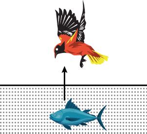 Apparent Depth | Definition, Examples, Diagrams