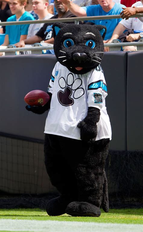 The Carolina Panthers Mascot Is Absolutely Purrfect