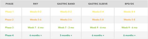 Bariatric Diet | The Bariatric 4 Phase Diet Plan | Bari Life®