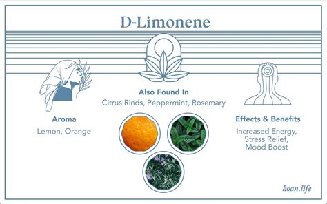 D-Limonene Terpene: What is Limonene, Its Uses and Benefits - koan : koan