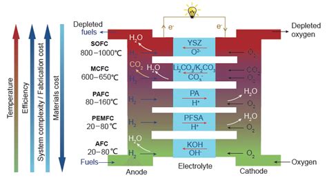 Fuel cell types, showing the general trend in relationship between the ...