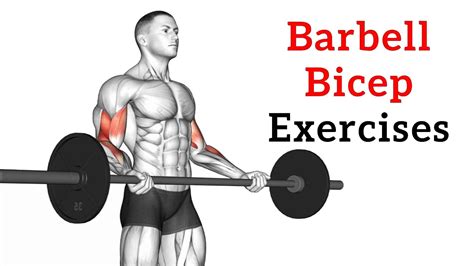 Barbell Bicep Exercises & Workout For Mass & Strength