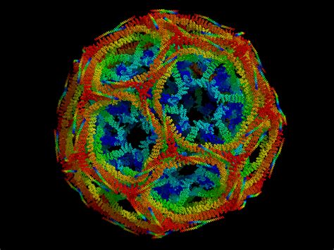 File:Clathrin.png - Wikimedia Commons