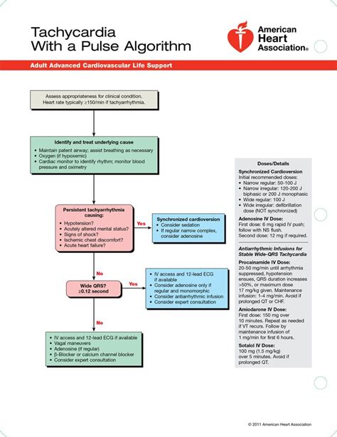 advanced clinical life support - Donella Bird