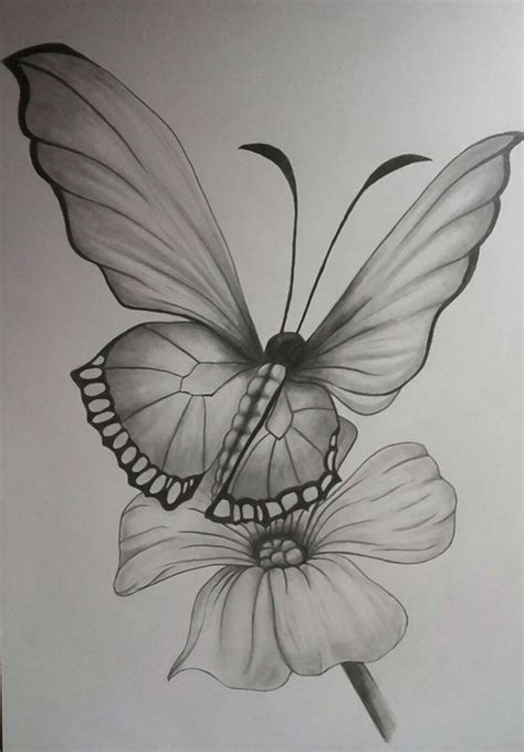 42 Simple And Easy Pencil Drawings Of Animals - Buzz Hippy | Flower art drawing, Pencil drawings ...