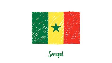 Premium Vector | Senegal flag colored pencil or marker sketch vector