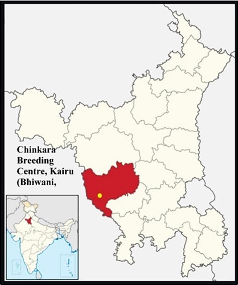 Figure 1. Map showing the location of Chinkara Breeding Centre, Kairu (Bhiwani, Haryana) : A ...